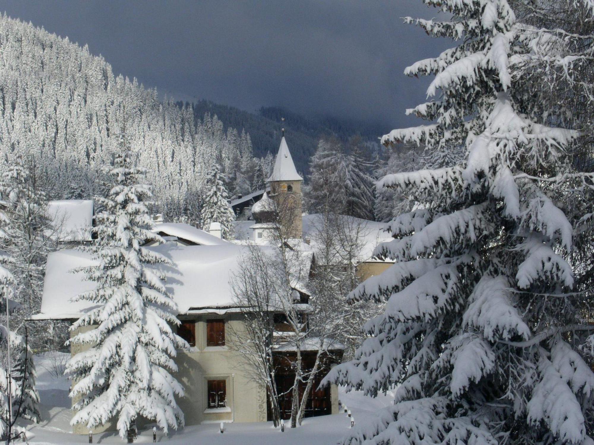 Hotel Alpina Parpan Bagian luar foto
