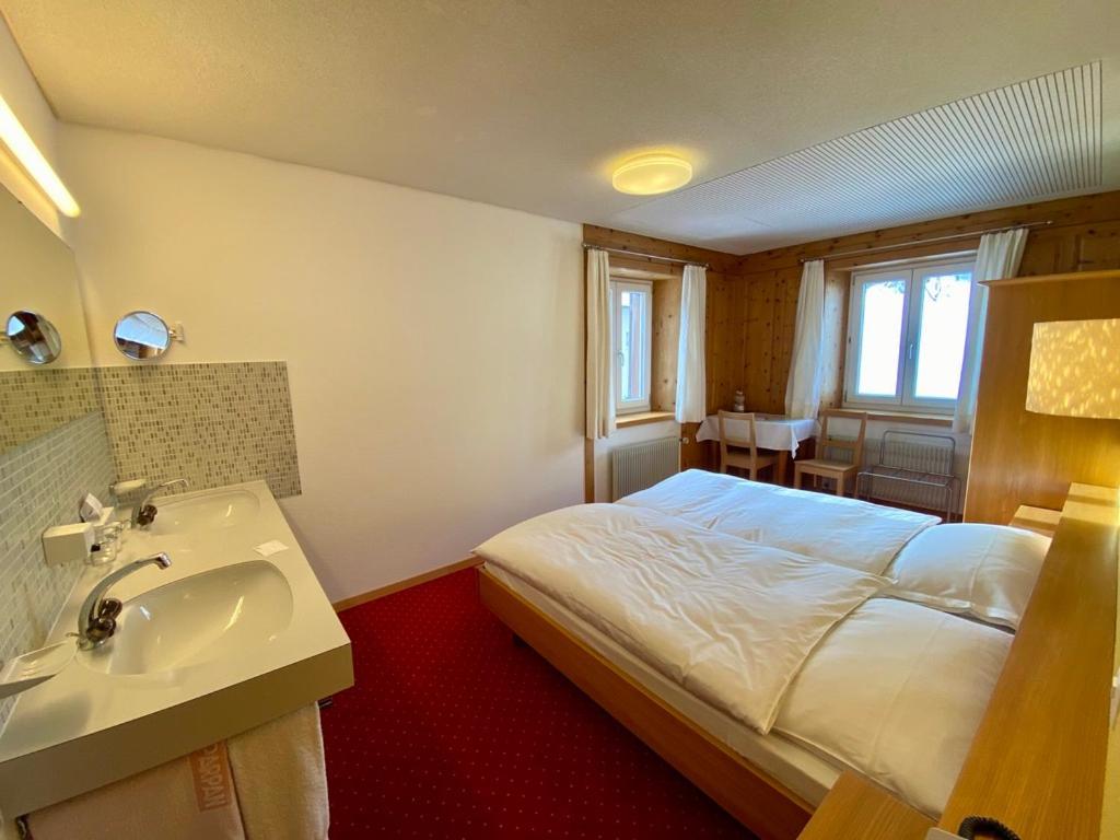 Hotel Alpina Parpan Bagian luar foto